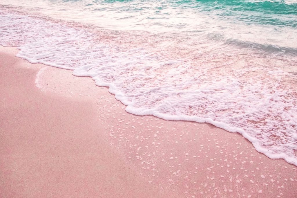 barbuda wedding destination