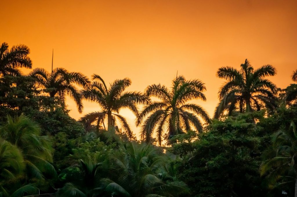 Jamaica wedding venue